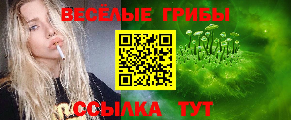 Галлюциногенные грибы Psilocybine cubensis Стерлитамак