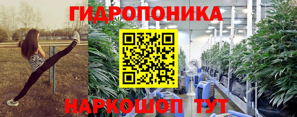 Стерлитамак  Шишки марихуана OG Kush  Канабис VHQ  Марихуана THC 21%  Вход с VPN  Каннабис OG Kush 